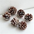 White Pine Cones Wall Decor - Christmas Natural Dried Plant Ornaments(6PCS)