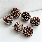 White Pine Cones Wall Decor - Christmas Natural Dried Plant Ornaments(6PCS)