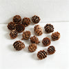 Natural Wood Tone / One Size