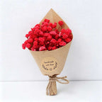 Mini Dried Baby's Breath Flower Bouquet - Preserved Gypsophila Eternal Flower