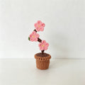 Plum‑Blossom Potted