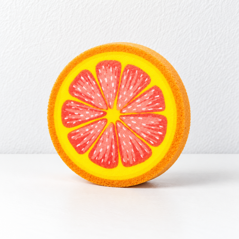 Fruit Slice Dishwashing Sponges with Round Printed Faces