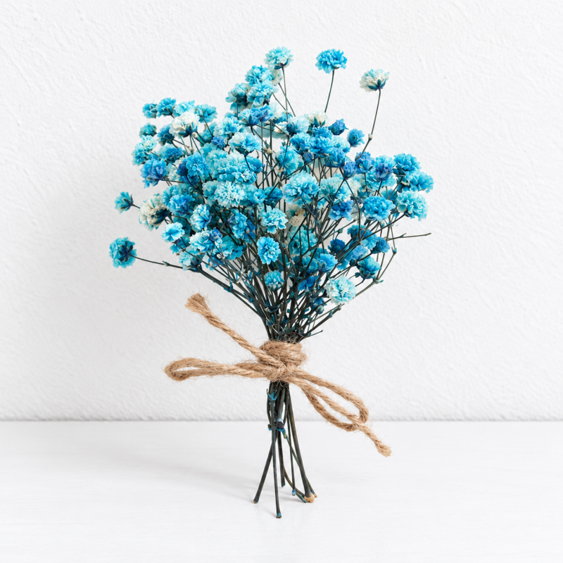 CouldNook Dried Flower Gift Bouquet - Mixed Botanical Styles