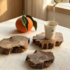 CouldNook Natural Wood Slice Coaster - Irregular Size Selection