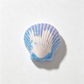 CouldNook Seashell Bath Bomb Set - Colorful Ocean Shapes