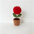 Red‑Rose Potted