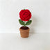 Red‑Rose Potted