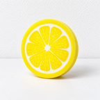 Fruit Slice Dishwashing Sponges with Round Printed Faces