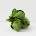Green Vegetable