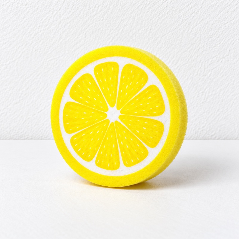 Fruit Slice Dishwashing Sponges with Round Printed Faces