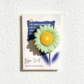 Sunflower Green