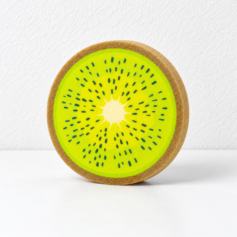 Fruit Slice Dishwashing Sponges with Round Printed Faces