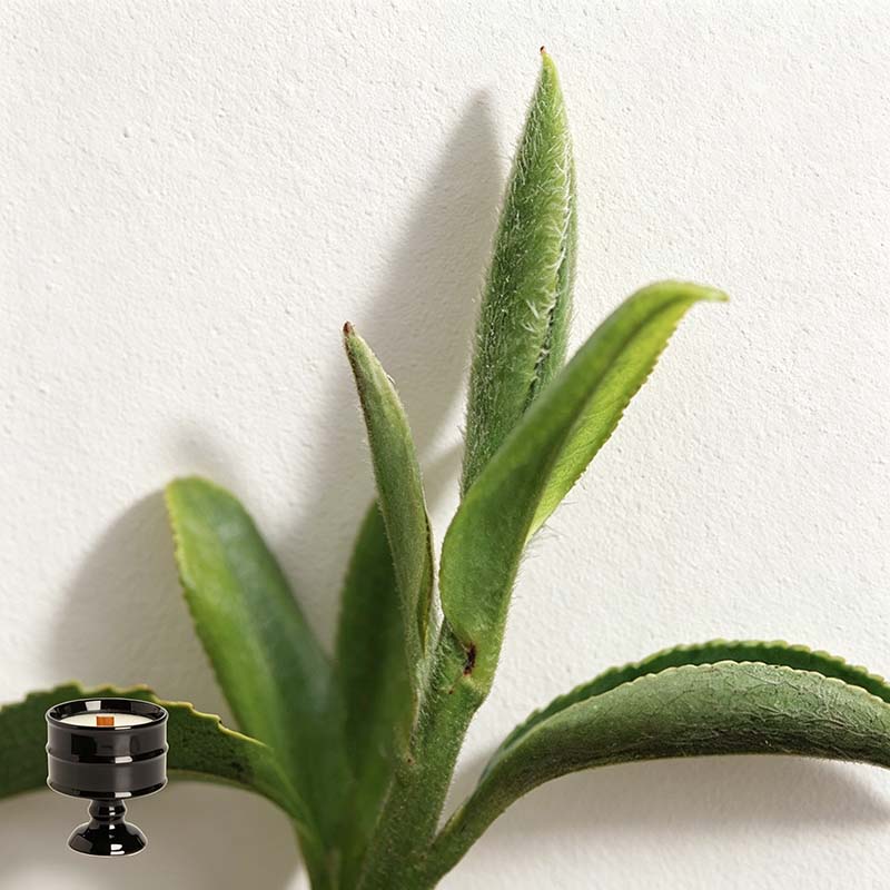 CouldNook Pedestal Scented Candle - Banded Vessel And Rounded Raised Base