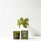 CouldNook Glass Jar Scented Candle - Foil Emblem And Dark Lidded Vessel