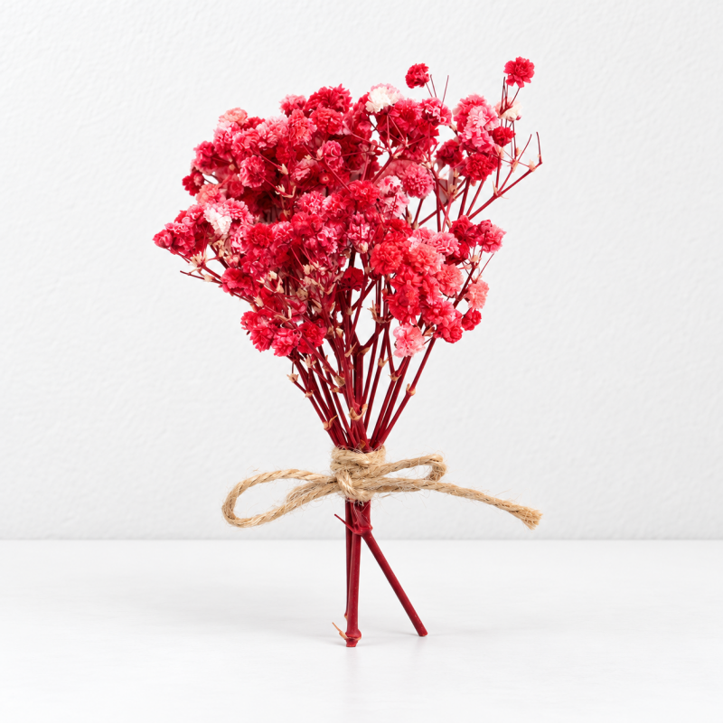 CouldNook Dried Flower Gift Bouquet - Mixed Botanical Styles