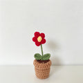 Red‑Puff Potted