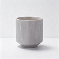 Darjeeling Tea