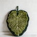 Alocasia Leaf