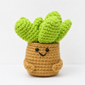 Brown Pot L‑Card