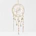 Spider Suncatcher