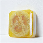 CouldNook Natural Loofah Exfoliating Soap Bar - Essential Oil Body Scrub