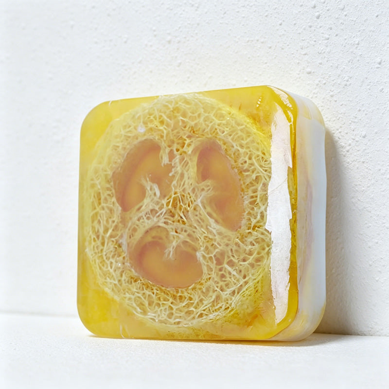 CouldNook Natural Loofah Exfoliating Soap Bar - Essential Oil Body Scrub