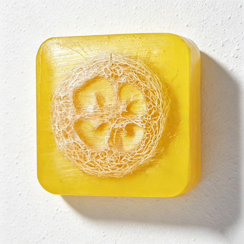 CouldNook Natural Loofah Exfoliating Soap Bar - Essential Oil Body Scrub