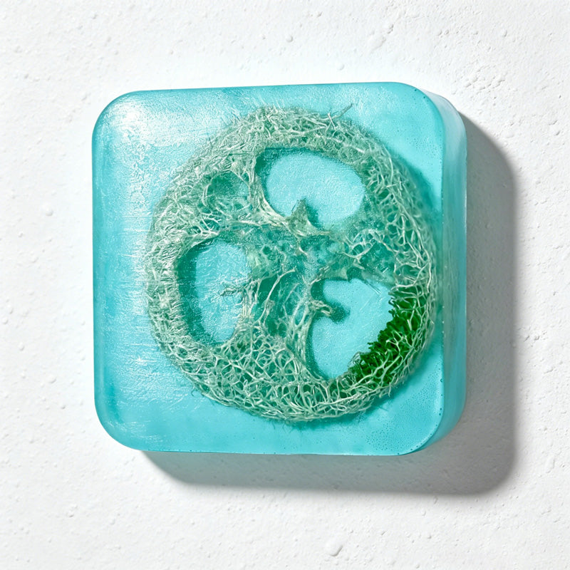 CouldNook Natural Loofah Exfoliating Soap Bar - Essential Oil Body Scrub