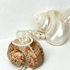 CouldNook Artisan-crafted Shell Napkin Ring - Aesthetic Ocean Dining Accent