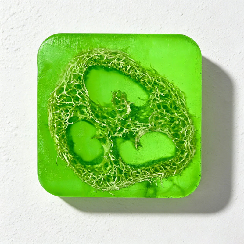 CouldNook Natural Loofah Exfoliating Soap Bar - Essential Oil Body Scrub