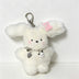 Necklace Clip