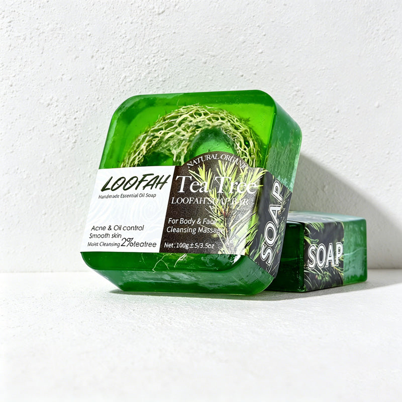 CouldNook Natural Loofah Exfoliating Soap Bar - Essential Oil Body Scrub