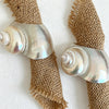 Moonlight Shell / One Size