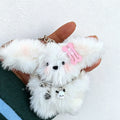 Hairclip Dog