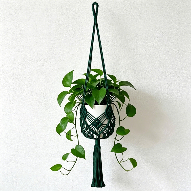 CouldNook Macrame Hanging Basket - Plant Holder Decor