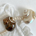 Brown Shell
