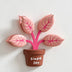 Pink Plant