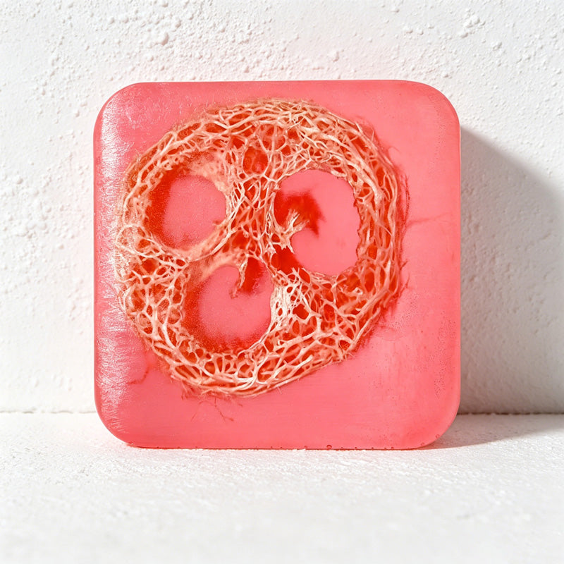 CouldNook Natural Loofah Exfoliating Soap Bar - Essential Oil Body Scrub