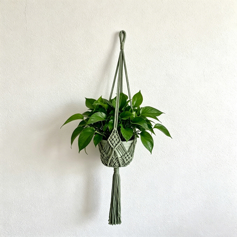 CouldNook Macrame Hanging Basket - Plant Holder Decor