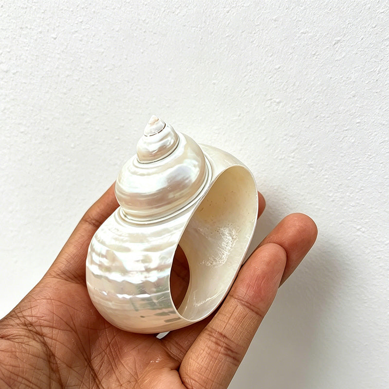 CouldNook Artisan-crafted Shell Napkin Ring - Aesthetic Ocean Dining Accent