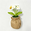 White Forget-me-not / One Size