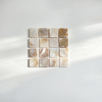 CouldNook Shell Drink Coaster - Warm Table Accent