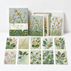 CouldNook Embossed Botanical Paper - Six Floral Color Stories