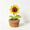 Single Sunflower Pot