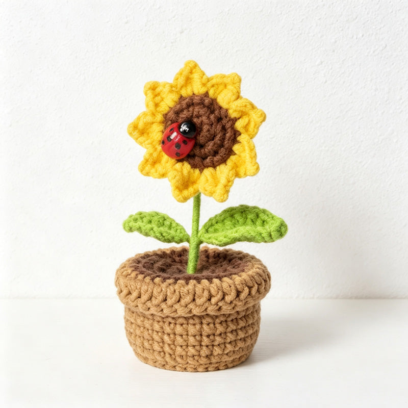 CouldNook Yarn Potato Sunflower Gift Set - Assorted Box Configurations
