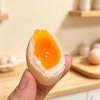 CouldNook Egg Fridge Magnet - Soft-Yolk Halves and Mini Egg Carton Options