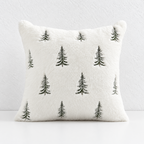 CouldNook Embroidered Winter Cushion Cover - Plush Texture And Seasonal Motifs