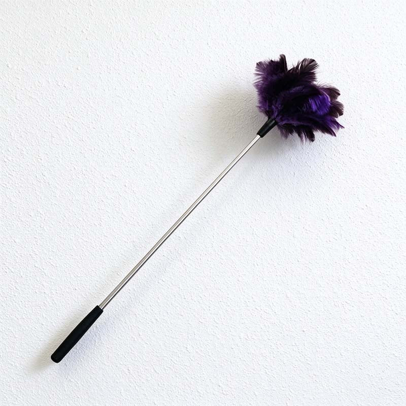 CouldNook Telescoping Ostrich Feather Duster - Slim Shaft And Dark Grip