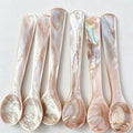 CouldNook Shell Condiment Spoon - Comfortable Handheld Shape Table Setting