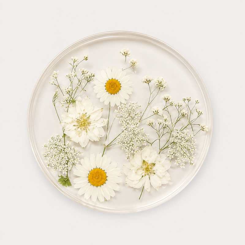 CouldNook Transparent Acrylic Flower Coaster - Tabletop Home Accent
